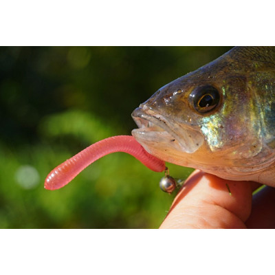 Revol Baits Pijawka 70mm 10 pcs růžová - pink UV příchuť kreveta