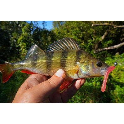 Revol Baits Pijawka 70mm 10 pcs růžová - pink UV příchuť kreveta