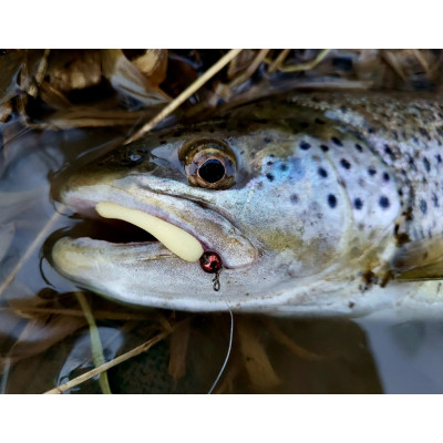 Revol Baits Pijawka 70mm 10 pcs cheese - Light Yellow příchuť kreveta