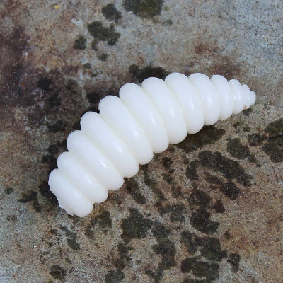 Harmony Baits Larva XL 37mm 7 pcs barva 001 White příchuť sýr