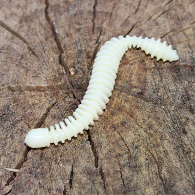 Harmony Baits Super Červík 55mm barva 002 Cheese 12 pcs příchuť sýr