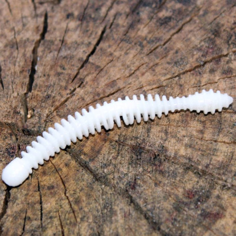 Harmony Baits Super Červík 55mm barva 001 white 12 pcs příchuť Krill