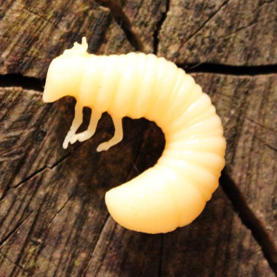 Harmony Baits Scarab 20mm 10 pcs barva 002 Cheese příchuť sýr