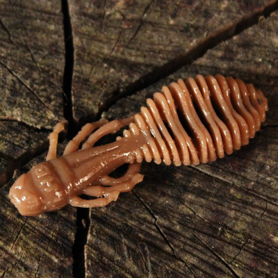 Harmony Baits Chrobák 55mm 8 pcs barva 016 coffee milk sýr