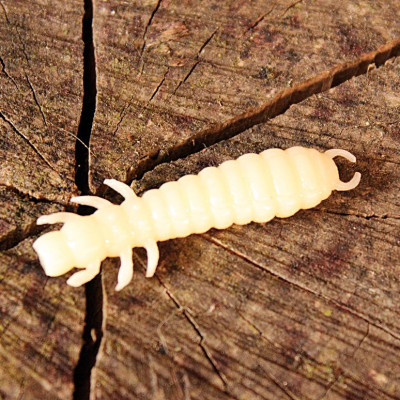 Harmony Baits Larva Lux 45mm 9pcs barva 002 Cheese příchuť sýr