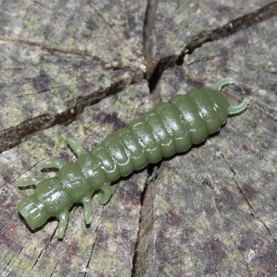 Harmony Baits Larva Lux 45mm 9pcs barva 021 green pumpkin příchuť sýr