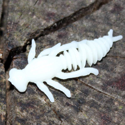 Harmony Baits Chrobák jr. 35mm 12 pcs barva 001 White příchuť sýr