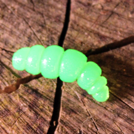 Harmony Baits Larva Apod FAT 32mm barva 010 Tequila 9 pcs příchuť sýr