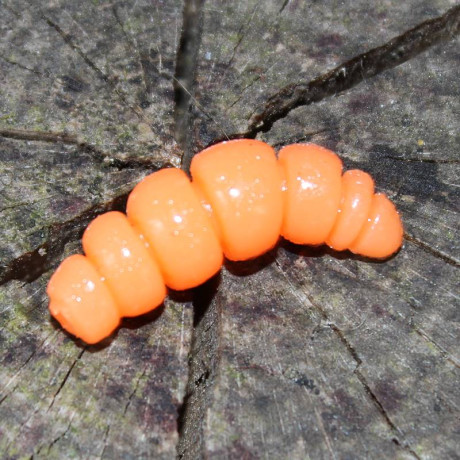 Harmony Baits Larva Apod FAT 32mm barva 005 Orange 9 pcs příchuť sýr