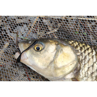 Revol Baits Longi 60mm černá - black 12 pcs příchuť sýr-česnek