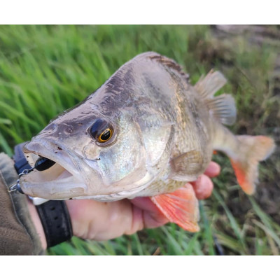 Revol Baits Longi 60mm černá - black 12 pcs příchuť sýr-česnek