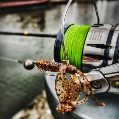 Perch Professor Fapping Craw 1,6”/3,5cm MIX - 8szt