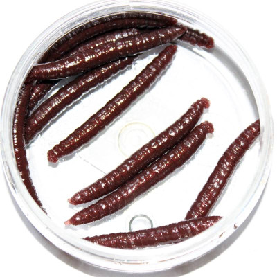 Revolbaits Larva komára 45mm 12 pcs bronzová perla - brown pearl příchuť kreveta