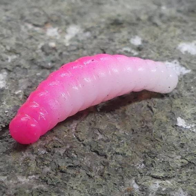 CZNymph Crazy Maggot 22mm 10pcs barva WP aroma sýr