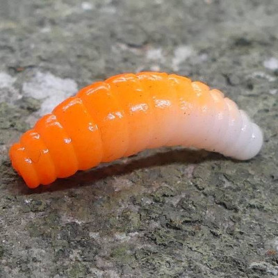 CZNymph Crazy Maggot 22mm 10pcs barva WO