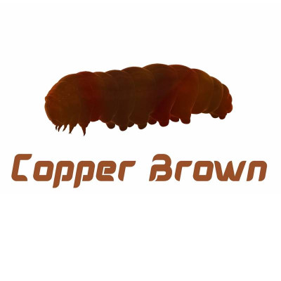 CZNymph Caddis Larva 30mm 10 pcs barva Copper Brown