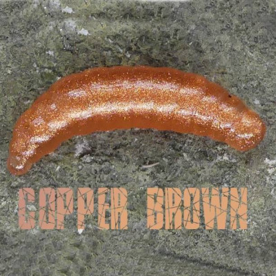 CZNymph Larva Worm 50mm 8 pcs barva Copper Brown aroma sýr
