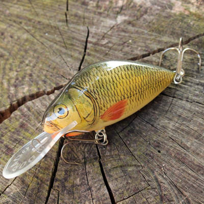 Dorado Lake 7cm DR floating G