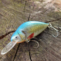 Dorado Lake 7cm DR floating B