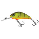 Wobler Salmo Hornet Rattlin H6.5 - Hot Perch plovoucí
