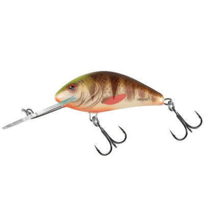 Wobler Salmo Hornet 6 Spotted Brown Perch floating