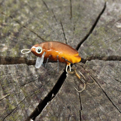 Wobler Microbait Vespillo 21mm barva 21