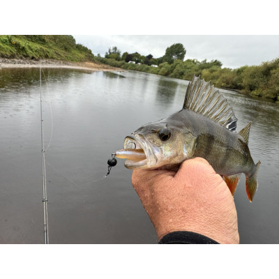 Realistic Shad Hrouzek 7cm barva K-002