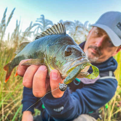 Perch Professor Flirty Twist 2,5"/6,5cm 01 Original 5 pcs