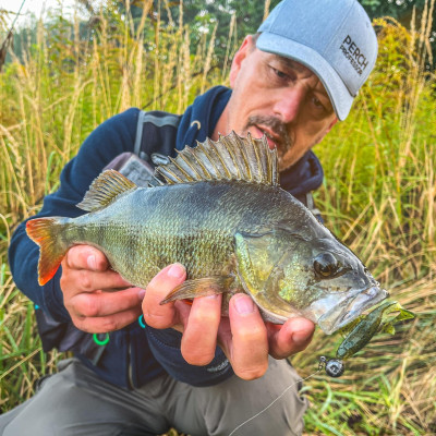 Perch Professor Flirty Twist 2,5"/6,5cm 01 Original 5 pcs