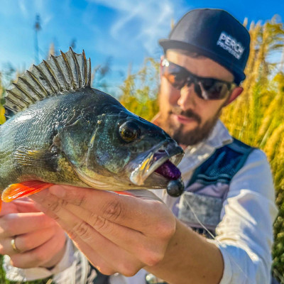 Perch Professor Flirty Twist 2,5"/6,5cm 01 Purple Pepper 5 pcs