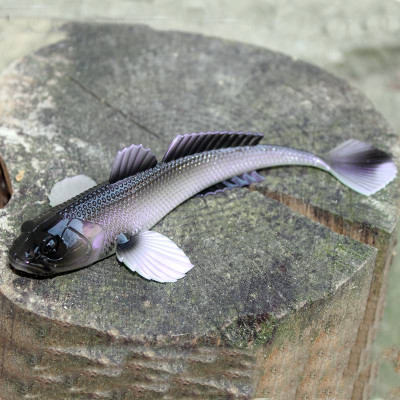 LIBRA LURES Gobio 7,3″ – 18,6cm 40g NO SCENT – 120 Violet...