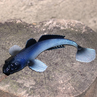 LIBRA LURES Gobio 7,3″ – 18,6cm 40g NO SCENT – Blue Whitefish 003 (1 pcs)