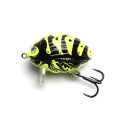 Salmo Lil`Bug 2cm BG2F WASP