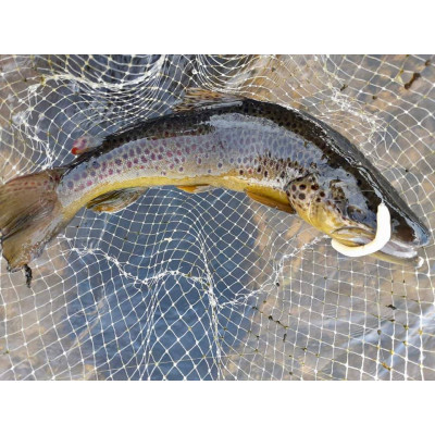 Libra Lures FATTY D'WORM 65 barva 001 White (10 kusů) příchuť sýr