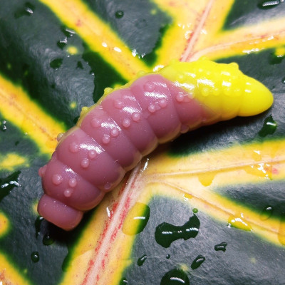 Nilsofky Bruncho 40mm 3.05g (balení 7 ks) barva DB321 UV (Antique Pink + Yellow UV) aroma sýr