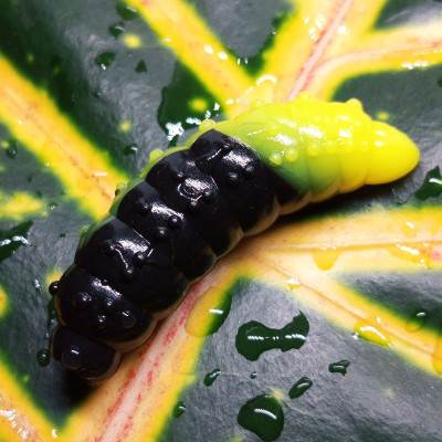 DB344 UV (NS Black + Yellow UV)