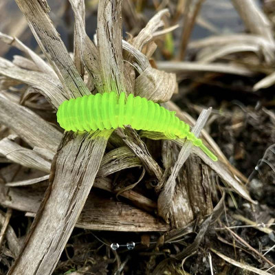 Harmony Baits T-Fat 45mm barva 012 Tequilla (11 kusů) příchuť sýr