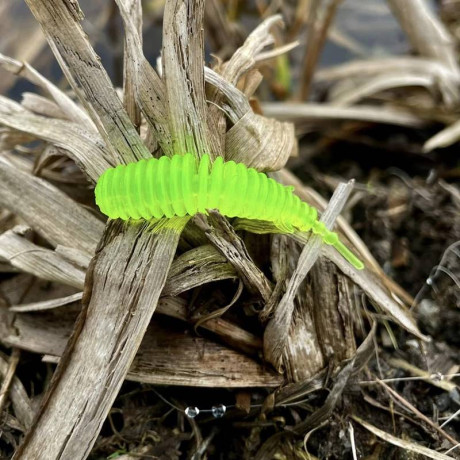 Harmony Baits T-Fat 45mm barva 012 Tequilla (11 kusů) příchuť sýr