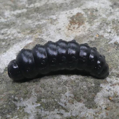 CzNymph Caterpillar 30mm Black (10 kusů) příchuť sýr