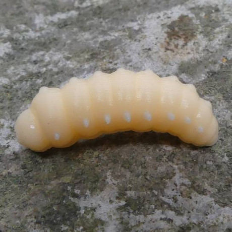 CzNymph Caterpillar 30mm CHET (10 kusů) příchuť sýr