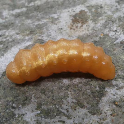 CzNymph Caterpillar 30mm CB (10 kusů) příchuť sýr