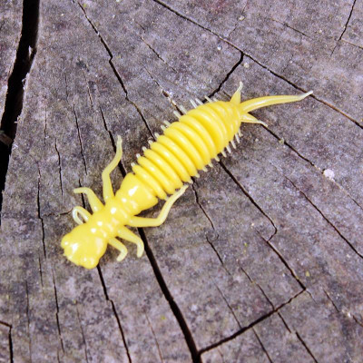 CzNymph Damsel Nymph 50mm Olive (4 kusy)