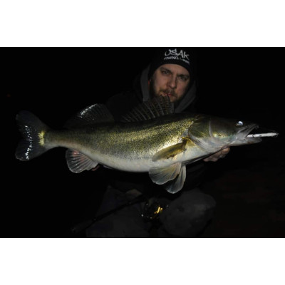 Wobler River Custom Baits Zander 10cm 11g barva Z010 White/Blue