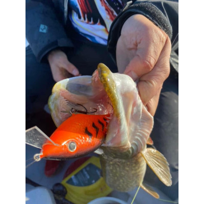 Wobler Bonito Krap 11cm 34g SR plovoucí barva Red Tiger Pomeranč BKK Hooks