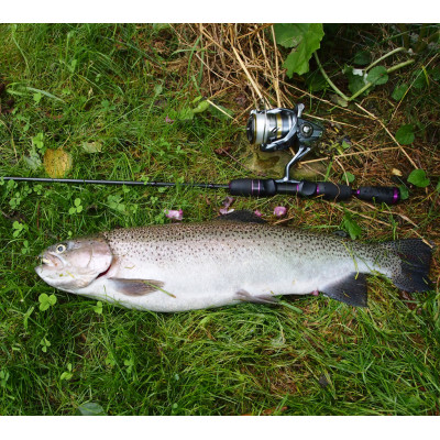 Revol Baits Chrostík EKONOMY (CADDIS LARVA) 30mm - 20 kusů kreveta