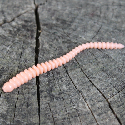 Gumová nástraha Trout Delirium Worm 70mm 0,8g (12 pcs)...