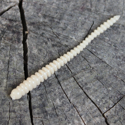 Gumová nástraha Trout Delirium Worm 70mm 0,8g (12 pcs) barva Coffe Milk CM příchuť sýr