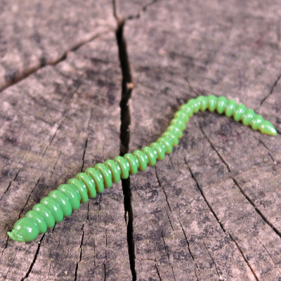 Gumová nástraha Trout Delirium Worm 70mm 0,8g (12 pcs) barva Motoroil Brown MOB příchuť sýr