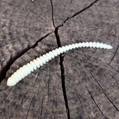 Gumová nástraha Trout Delirium Worm 70mm 0,8g (12 pcs) barva Cheese CH příchuť sýr