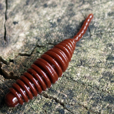 Gumová nástraha Trout Delirium Tanta 45mm 0,6g (10 pcs) barva Brown BW příchuť sýr